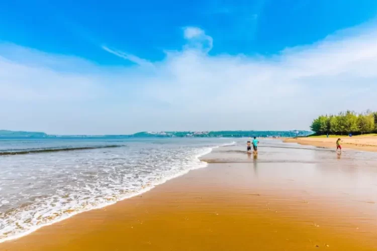 miramar-beach-banner.webp